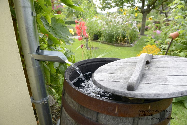 Regenwasser läuft in eine Regentonne